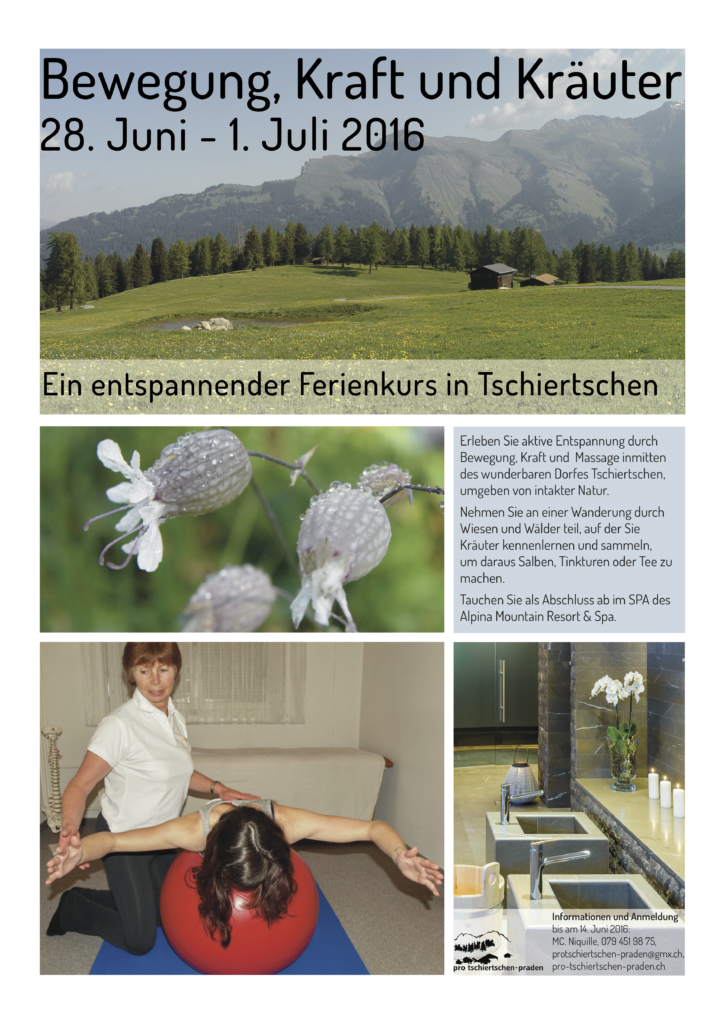 160628_proTsch_kurs_xund2
