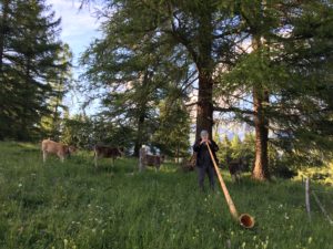 Mundartliteratur, Alphorn, Spaziergang, Lesebank, Tschiertschen, Furgglis