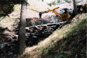 Wald Waldarbeit Tschiertschen
