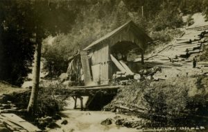 Wald Säge Tschiertschen