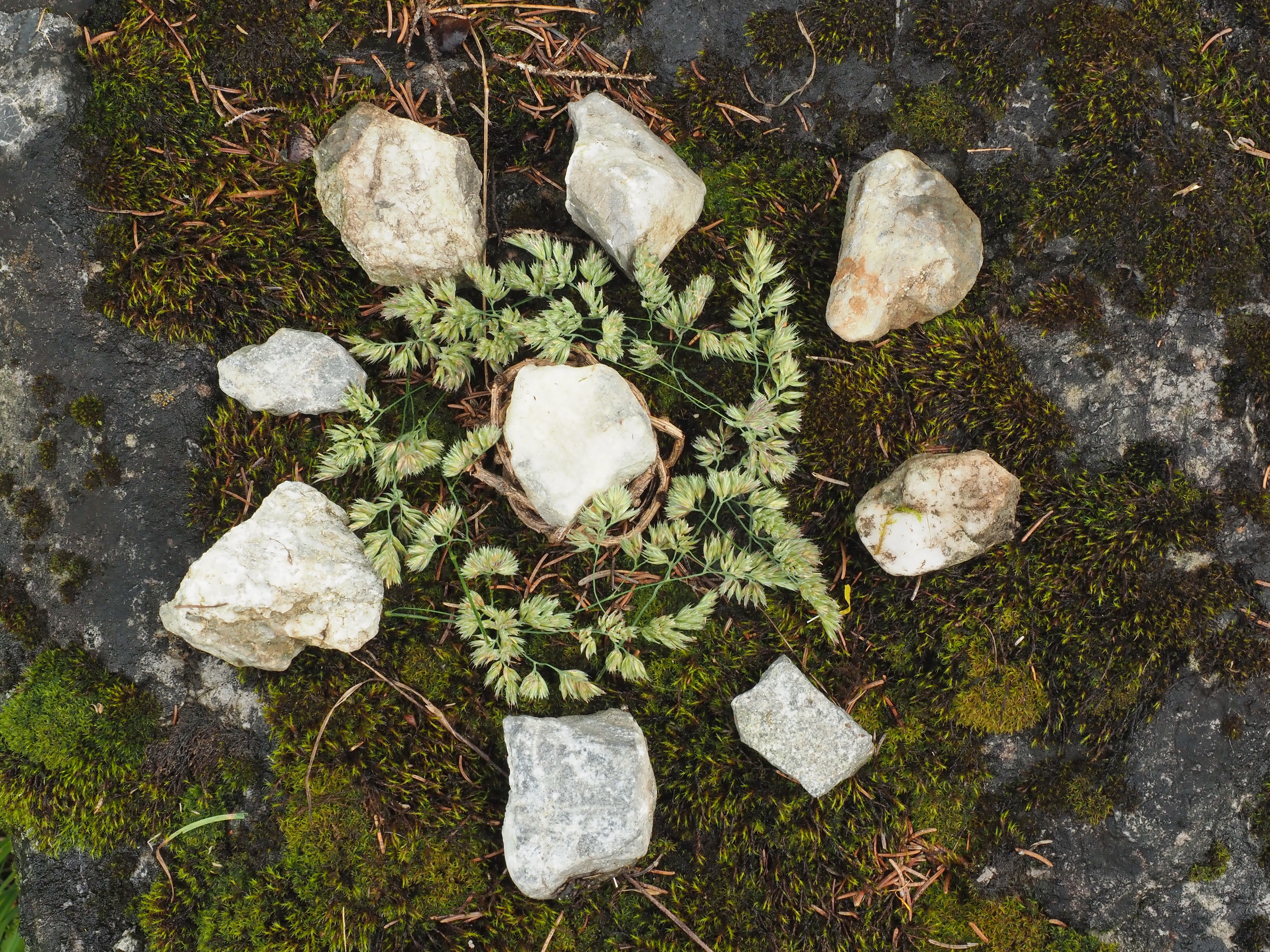 Landart Tschiertschen Juli 2019