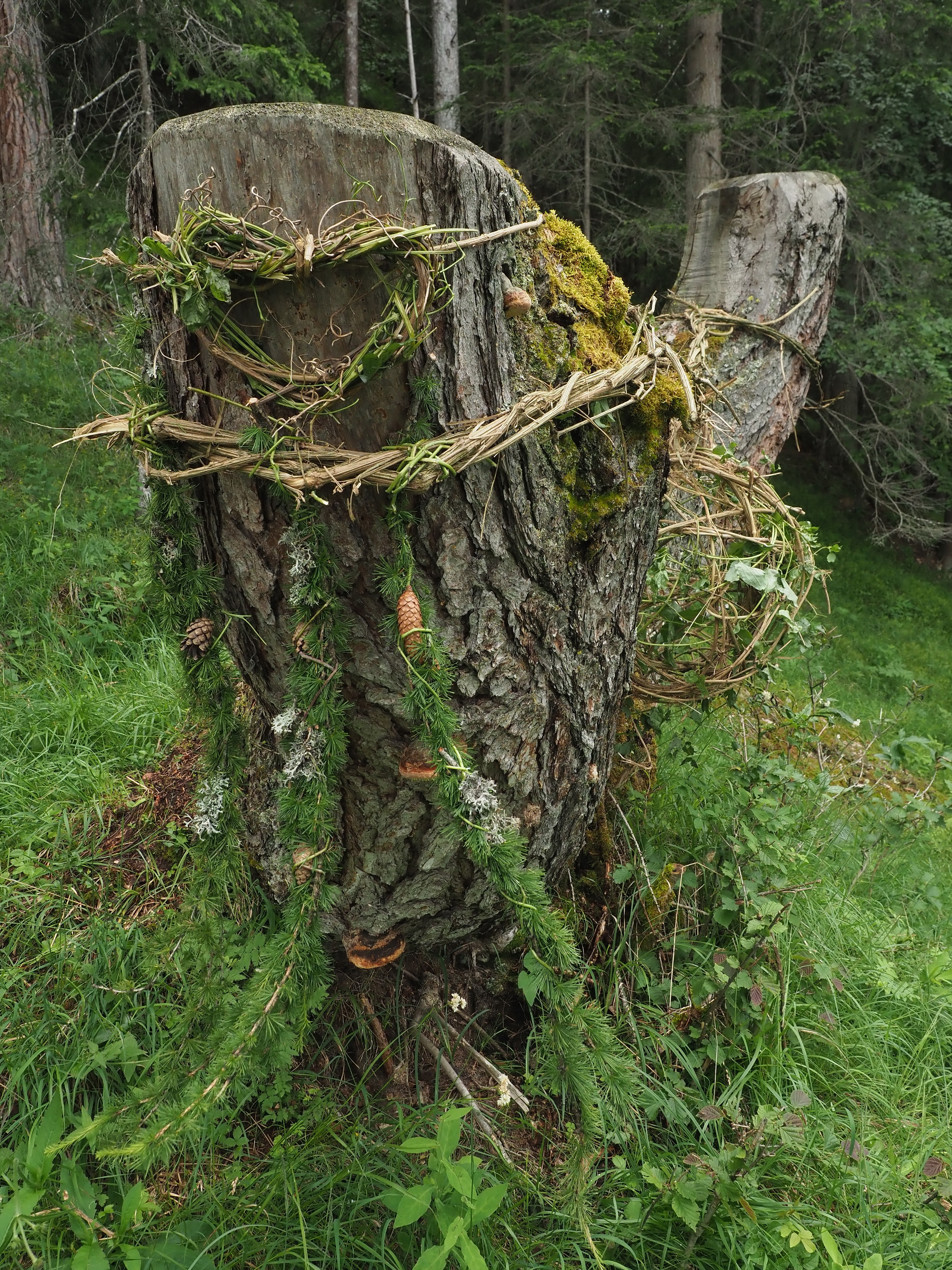 Landart Tschiertschen Juli 2019