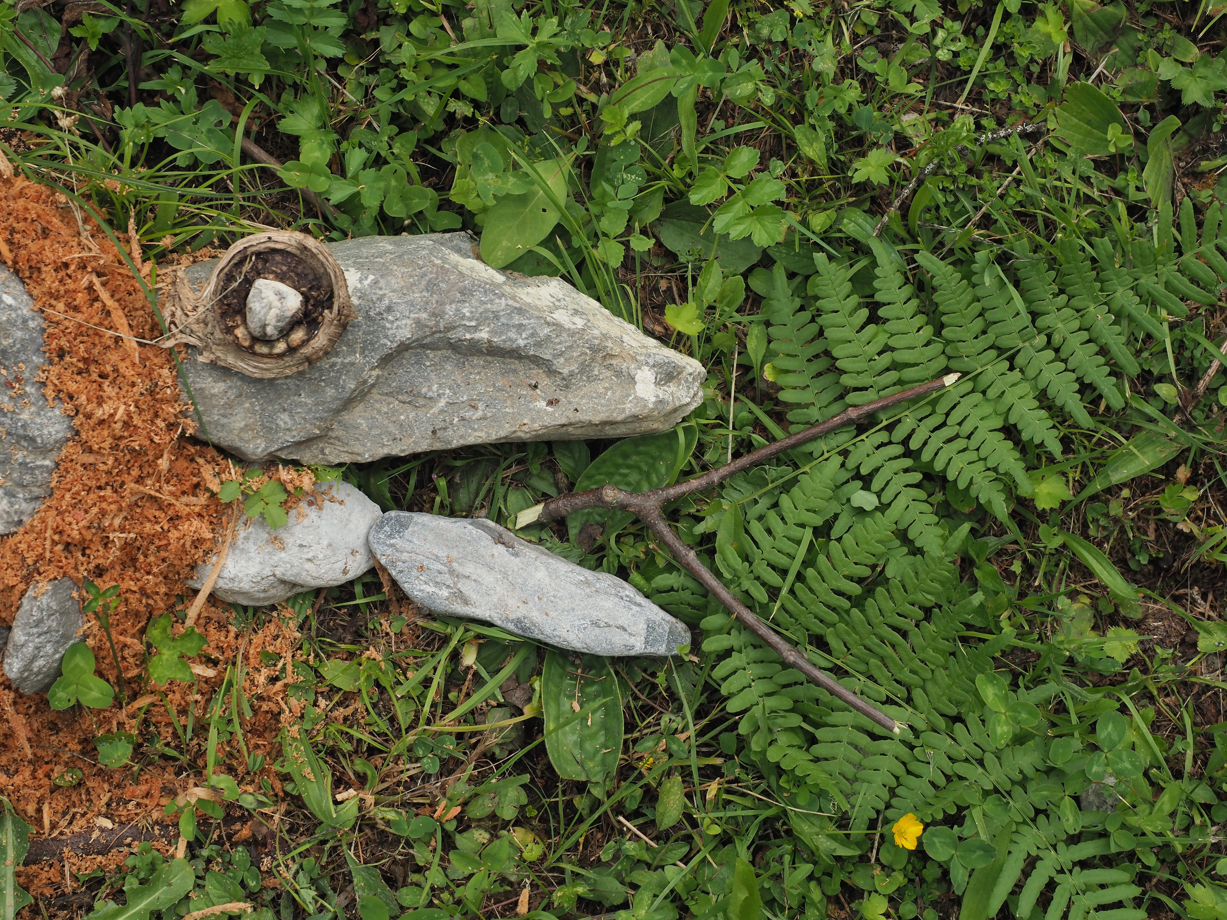 Landart Tschiertschen Juli 2019