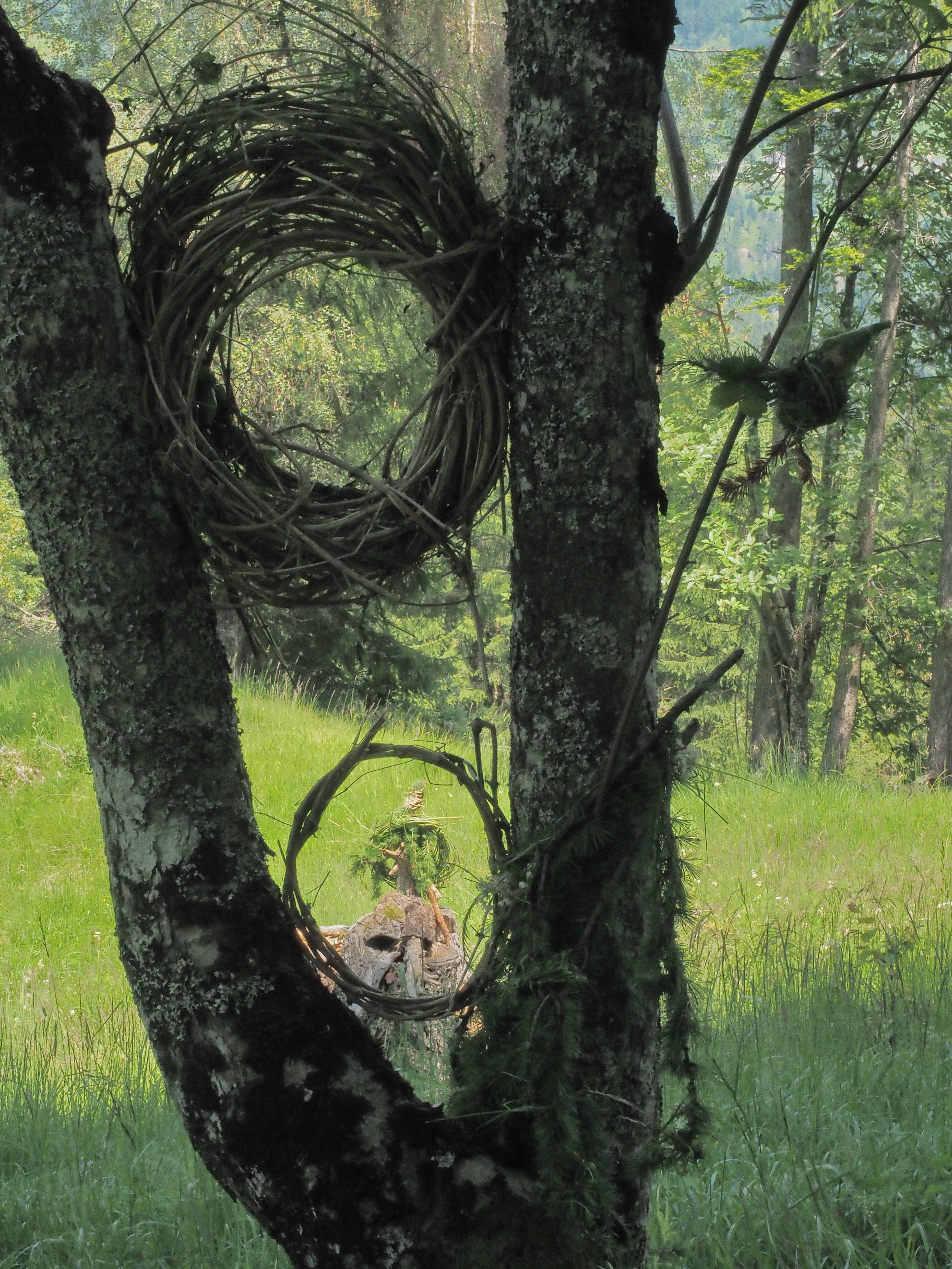 Landart Tschiertschen Juli 2019