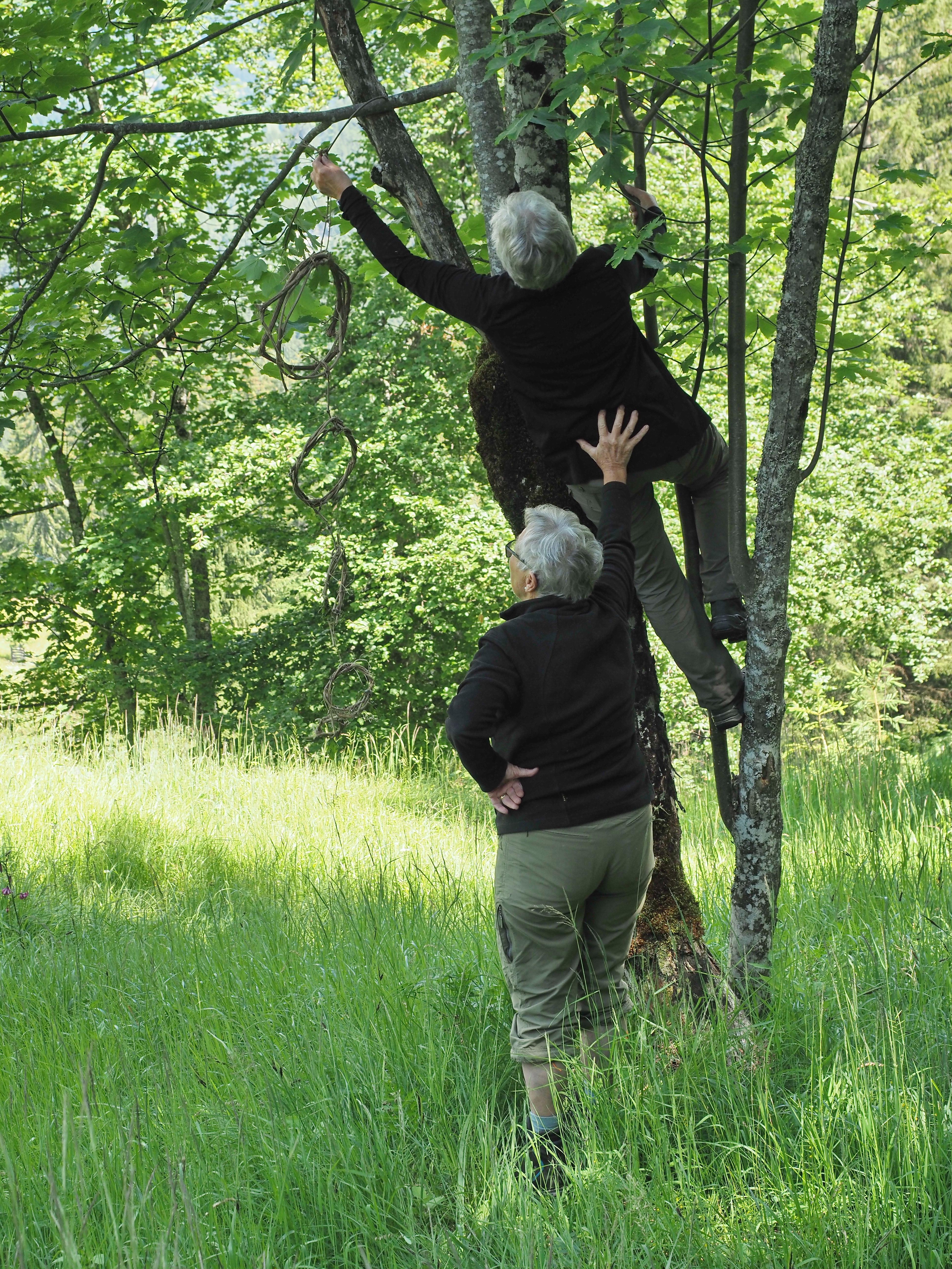 Landart Tschiertschen Juli 2019