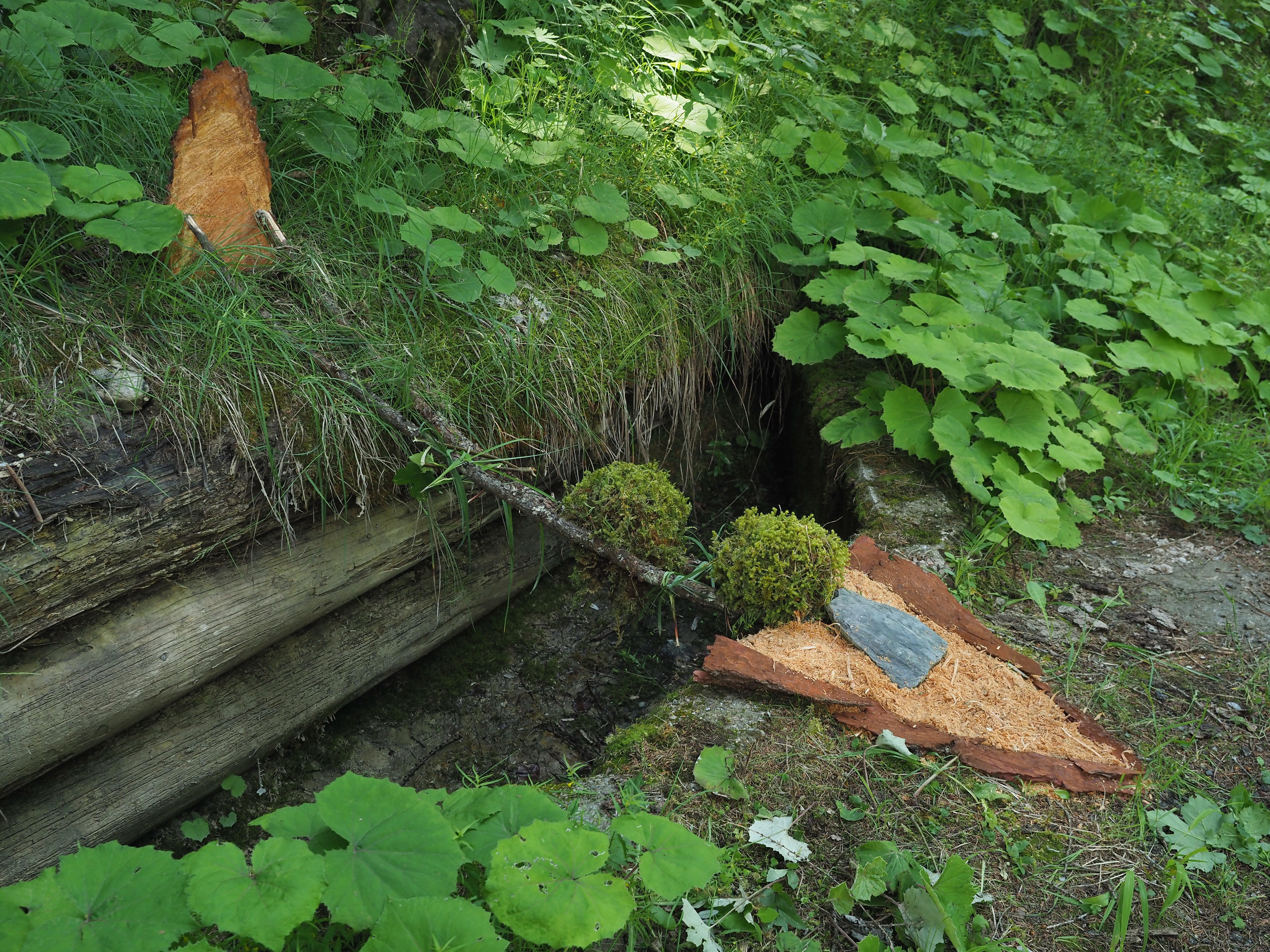 Landart Tschiertschen Juli 2019