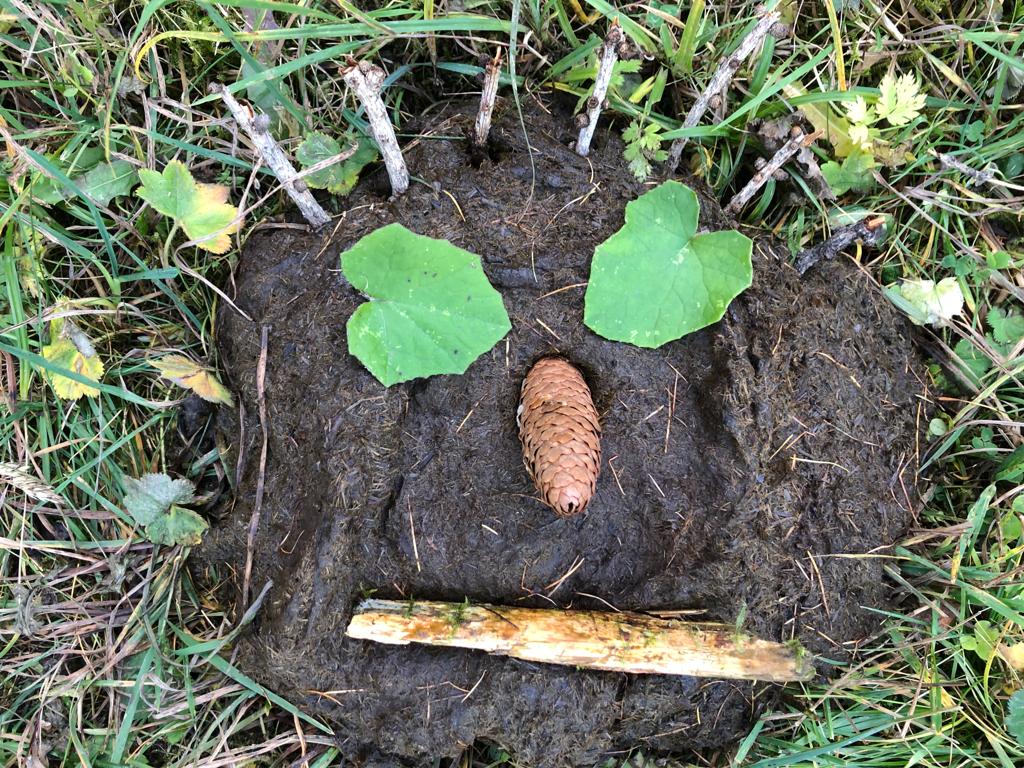 Landart auf dem Weg ins Furgglis, Oktober 2019