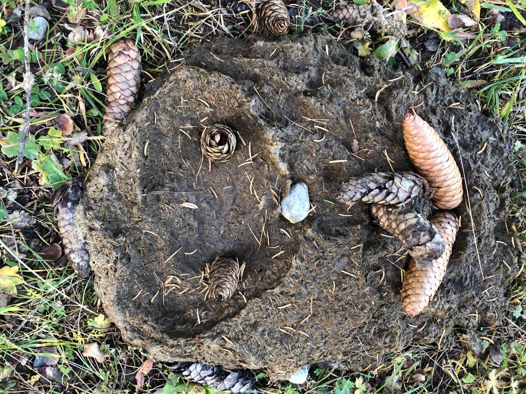 Landart auf dem Weg ins Furgglis, Oktober 2019
